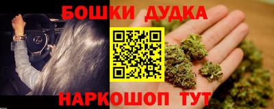 гашик Будённовск