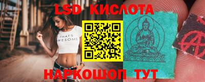 гашик Будённовск
