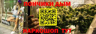 гашик Будённовск