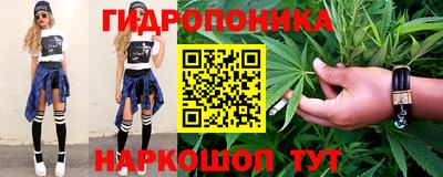 гашик Будённовск