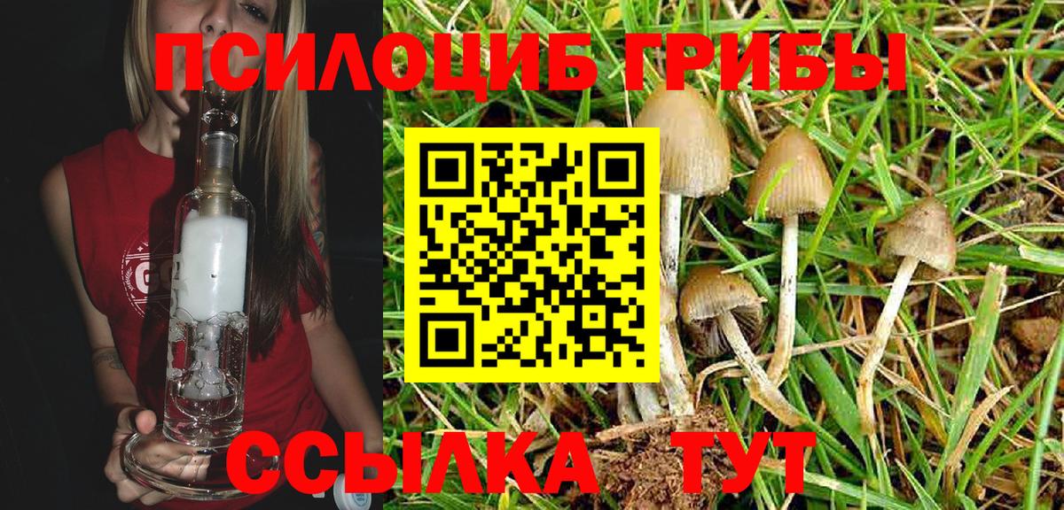 Галлюциногенные грибы Magic Shrooms Краснокаменск