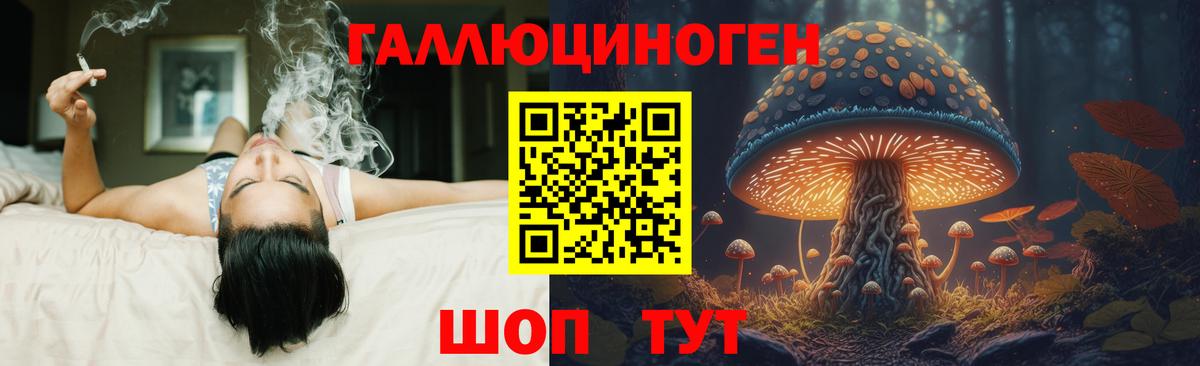Псилоцибиновые грибы Cubensis  Вход с VPN  Краснокаменск 
